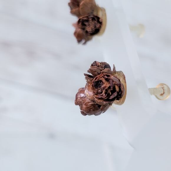 Vintage Screw Back Earrings Brown Natural Vibes Boho - Condition Issues - Picture 5 of 12